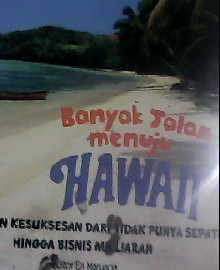 BANYAK JALAN MENUJU HAWAII PERJALANAN KESUKSESAN DARI TIDAK PUNYA SEPATU HINGGA BISNIS MILLIARAN 