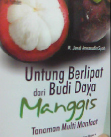 UNTUNG BERLIPAT DARI BUDI DAYA MANGGIS TANAMAN MULTI MANFAAT 