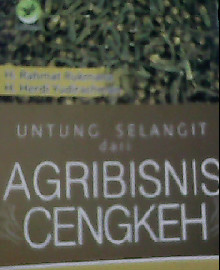 UNTUNG SELANGIT DARI AGRIBISNIS CENGKEH 