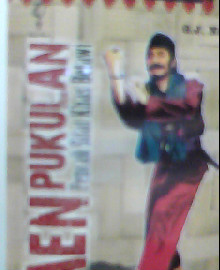 MAEN PUKULAN PENCAK SILAT KHAS BETAWI :  SERI PUSTAKA PENCAK SILAT NO 1